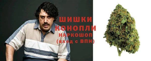 гидра Армянск
